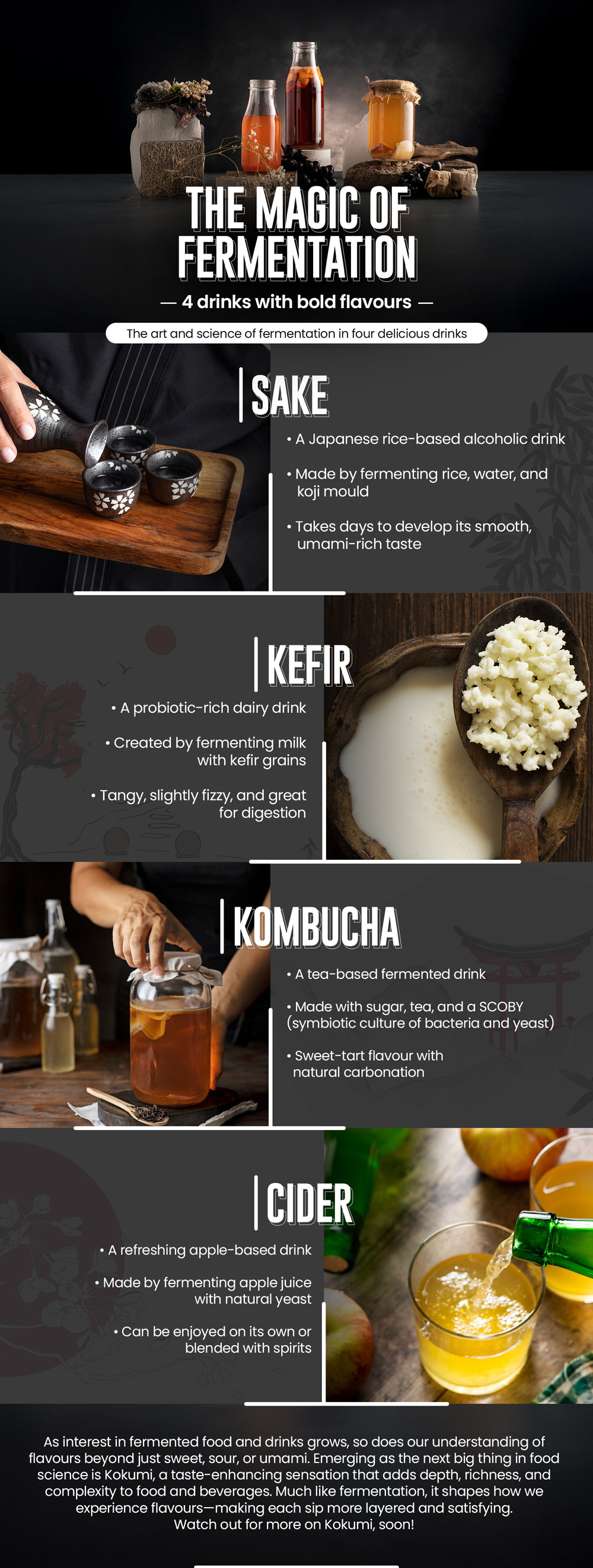 The art and science of fermentation in four delicious drinks