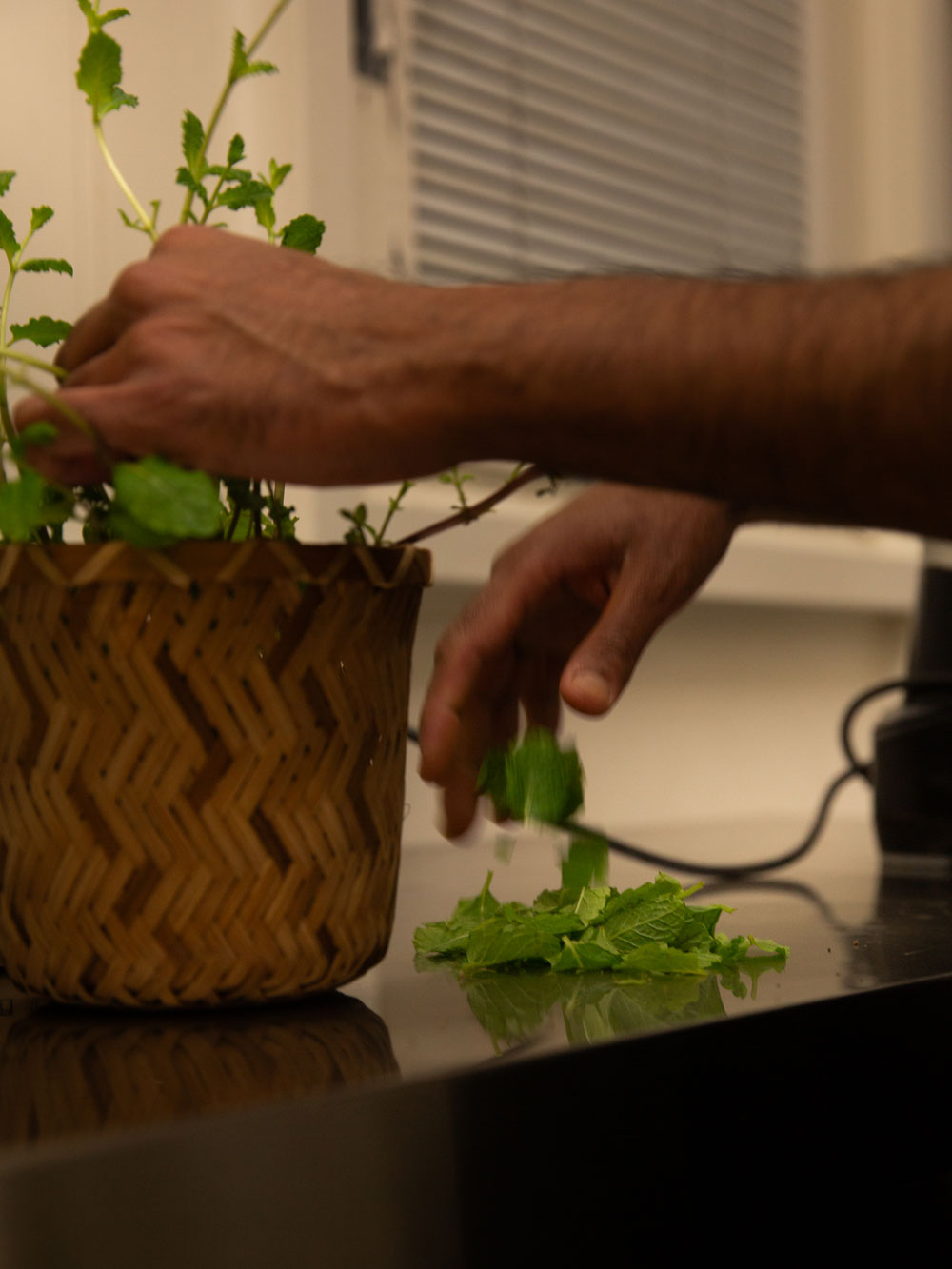 À Table chez Anou, Geneva’s Only Plant-Based Chef's Table