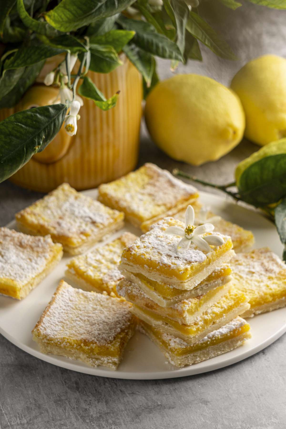 Lemon Bars Lemon Bars