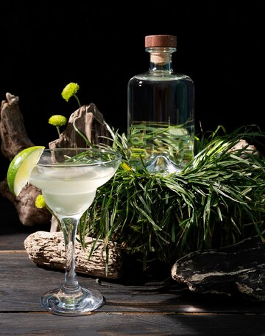 Rosemary & Tonic