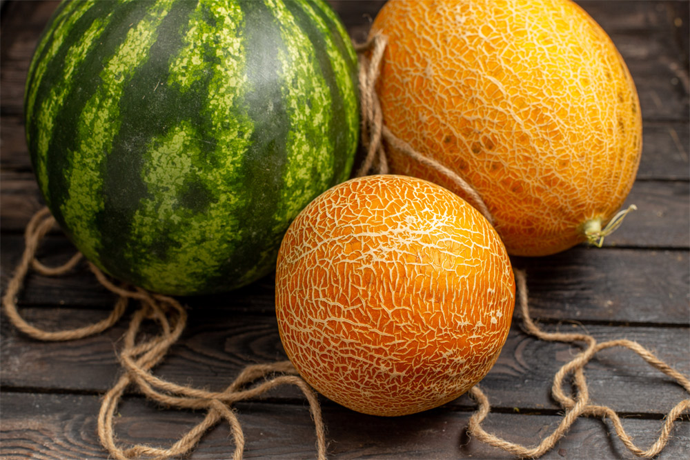 Melon Refresh