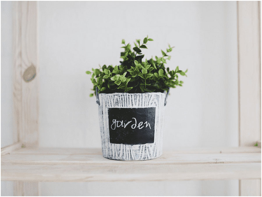 Garden in a Pot Garden in a Pot