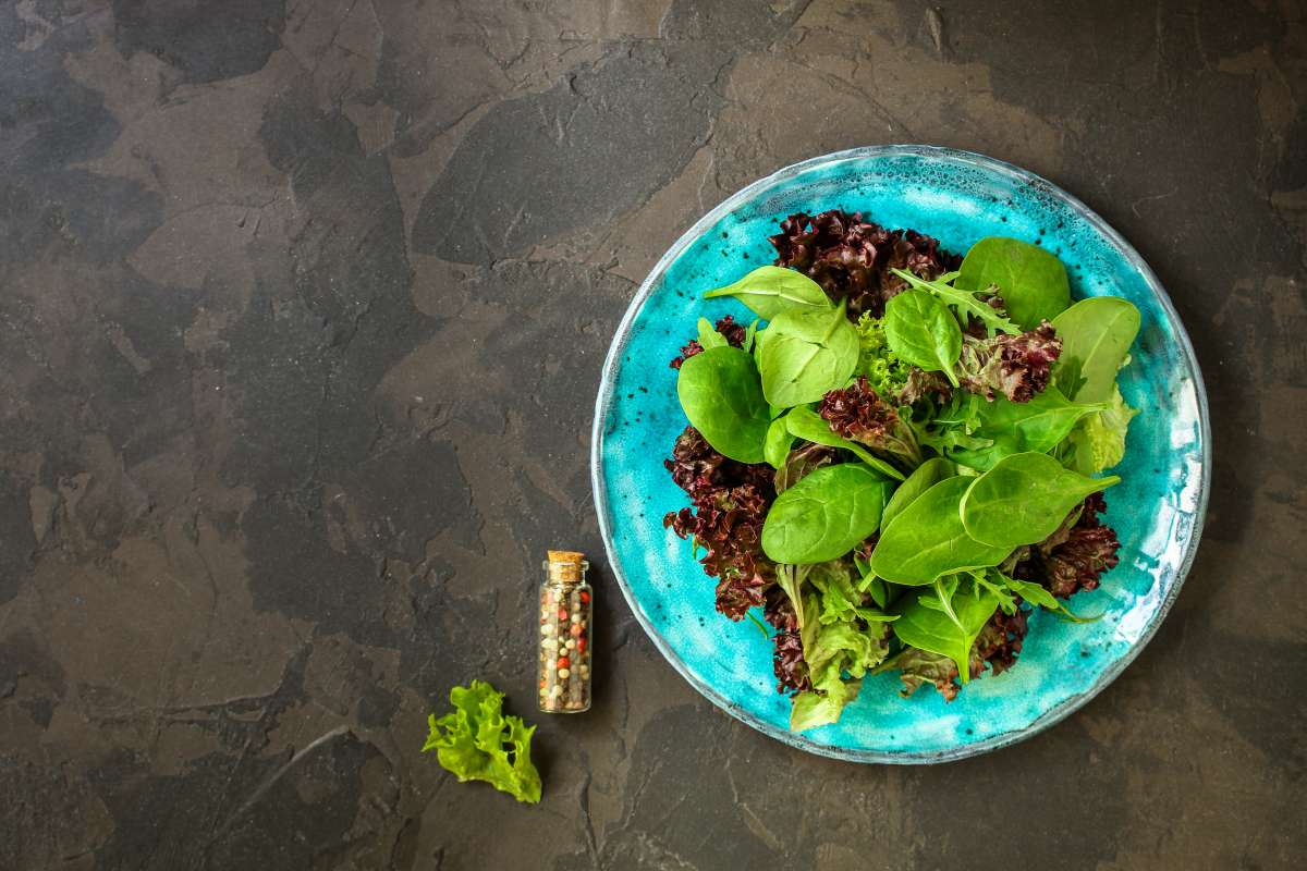 Refashioning winter favourites Sake
