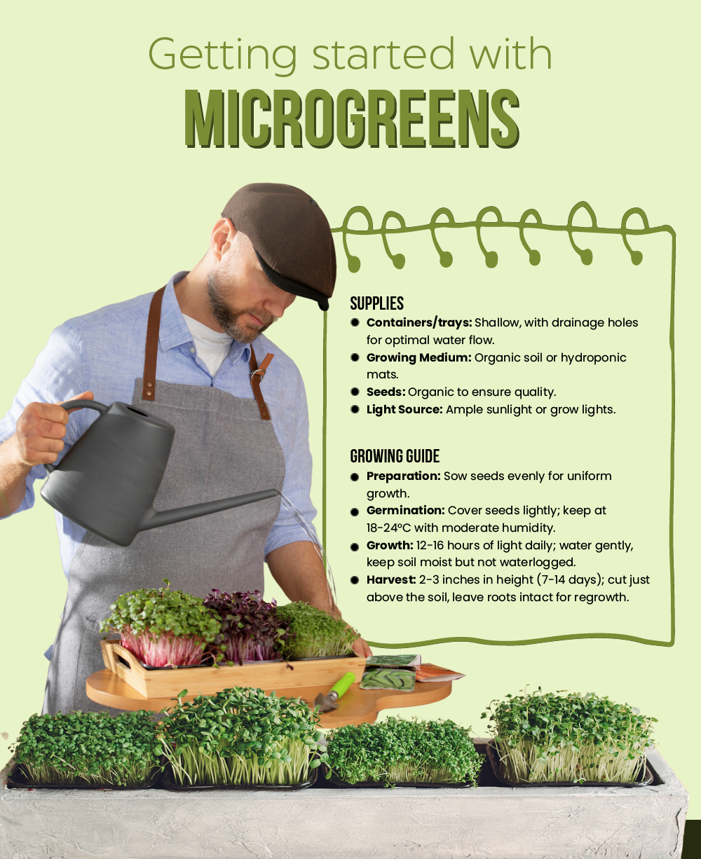 DIY Microgreens at Home