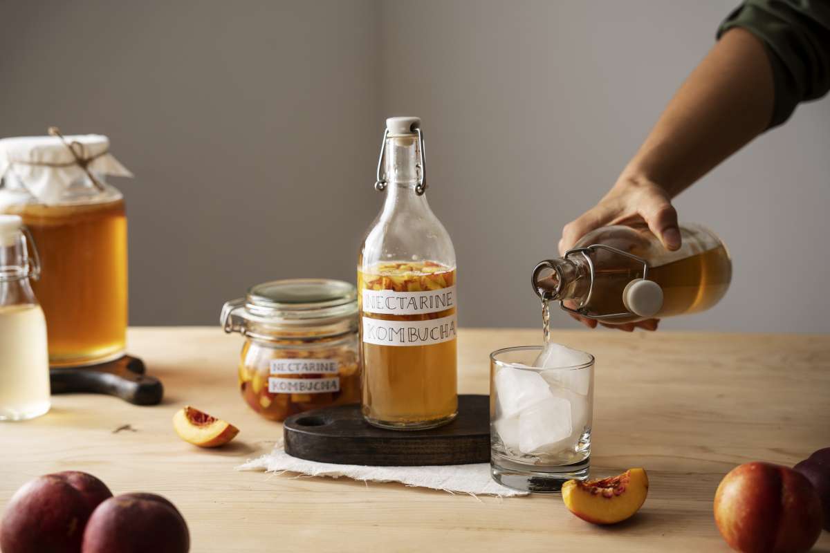 Kombucha Kombucha