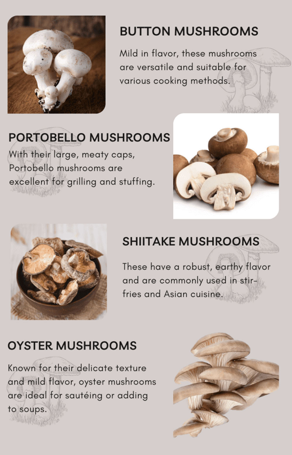 Choosing the Right Mushrooms