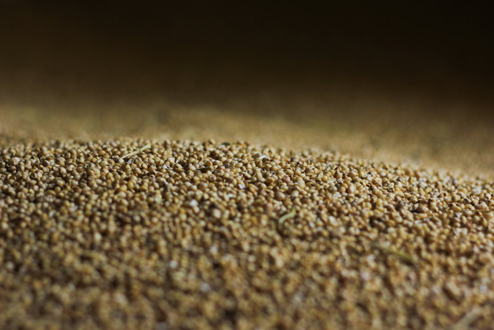 Become a conscious consumer: Smart steps towards food activism
