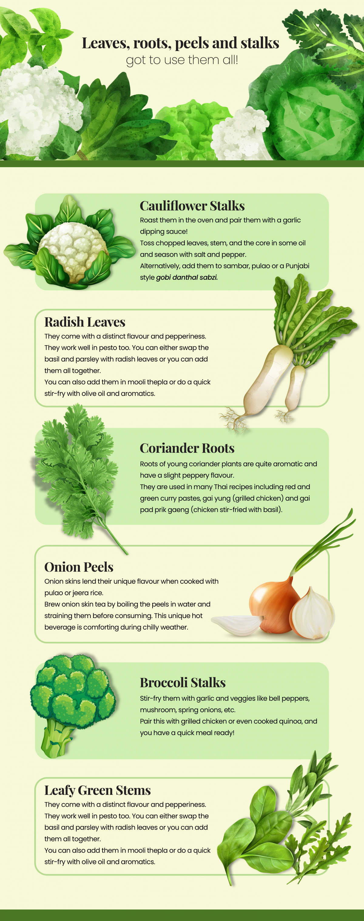 Leaves, stems, roots and stalks - find out how you can use them all! Leaves, stems, roots and stalks - find out how you can use them all!