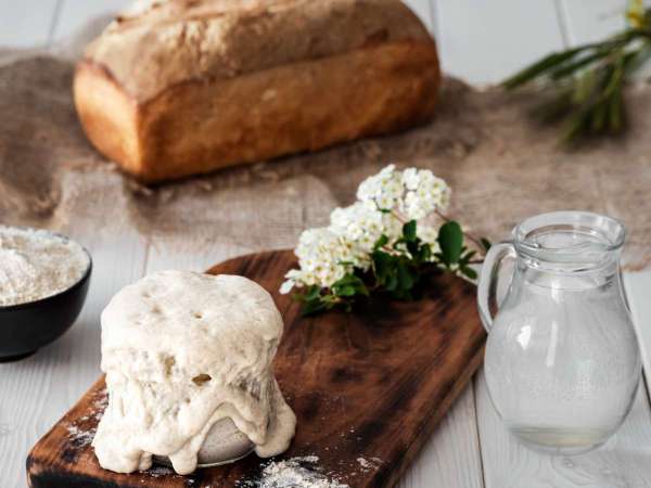 The Ultimate Sourdough Dictionary: Breaking down the Jargon